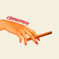 Cinnamon logo - Similar company to Dinner For One Hundred