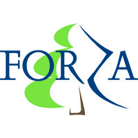 NGO FORZA logo - Similar company to Hipp Ukraine