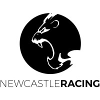 Newcastle Racing logo - Similar company to Travel Process