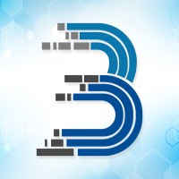 Breffni Solutions logo - Similar company to Hrstride.Com