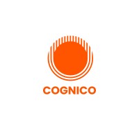 CogniCo AI Consulting logo - Similar company to Corsphere