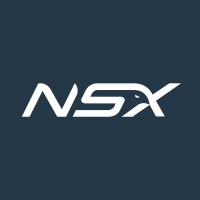 NSX - Next Support Experience logo - Similar company to Transmutamente Consultoria Em Design E Pnl