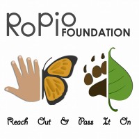 Reach Out & Pass It On Foundation logo - Similar company to African Center For Sustainable Savanna Communities