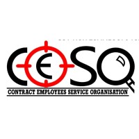 CESO SERVICES PVT. LTD. logo - Similar company to Quantbrain Research Capital