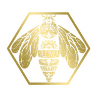 ALMA Group of Companies logo - Similar company to Ray Academy