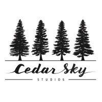 Cedar Sky Studios logo - Similar company to Argo Cts Inc.