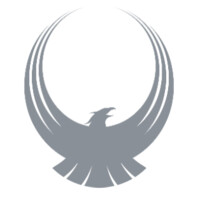 Phoenix IM Inc. a leading digital strategy and marketing firm ( Marketing, SEO, PPC, Social, Adv.) logo - Similar company to Digital Multiply - Strategic Digital Marketing Consulting Firm