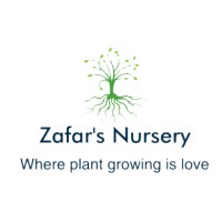 Zafar'S Nursery