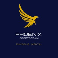 Phoenix Sports Team logo - Similar company to Galasport