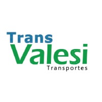 Transvalesi Transportes LTDA ME logo - Similar company to E2S Consultoria