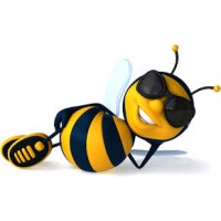 Black Bee Studio logo - Similar company to Alexander Budrevics + Associates Ltd. Landscape Architects