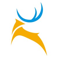 Deer Network Systems Limited logo - Similar company to Megalegend