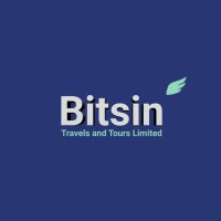 Bitsin Travels And Tours logo - Similar company to Vabe Ai