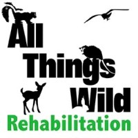 ALL THINGS WILD REHABILITATION INC logo - Similar company to Ecoleaders, Llc