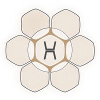 Hennepnatie logo - Similar company to Orange Elephants