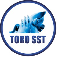 Toro Sst
