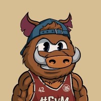 Crypto Dziki logo - Similar company to Hackonchain