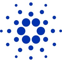 Comunidad Cardano Argentina logo - Similar company to Pro.P Company