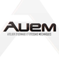 AUEM logo - Similar company to Audinnov Safety First