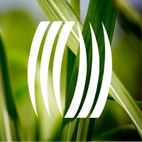 Terravesta logo - Similar company to In Practice