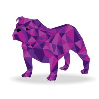 Bulldog Recruitment Limited logo - Similar company to Citizen Coaching And Counselling Birmingham
