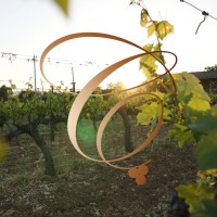 ÇAKIR Winery & Vineyards logo - Similar company to Vine Projects