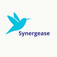 Synergease logo - Similar company to Infinity Kassel E.V.