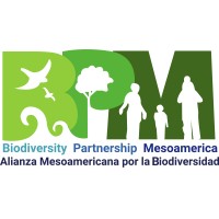 BPMesoamerica logo - Similar company to Ambá
