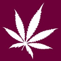 Cultiva Hanfexpo