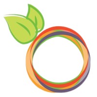 AMERICAN FRUITS EXPORT SAC logo - Similar company to Plazmonix Inc.