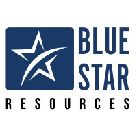Bluestar Resources logo - Similar company to Sudaksha Learnings
