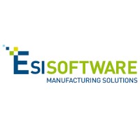 ESISOFTWARE SRL logo - Similar company to Trustlayer