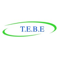 T.E.B.E   Transports Express Bunel Eric logo - Similar company to L'Escalier - Espace Collaboratif