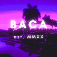 BACA logo - Similar company to Terlouw Studio