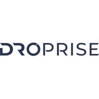 Droprise logo - Similar company to The Reef