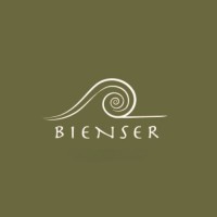 BienSer logo - Similar company to Worldclass Consulting