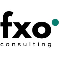 FXO Consulting logo - Similar company to Fxo