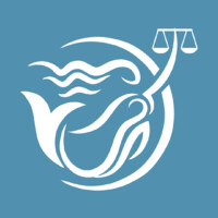 Charlotte Towne Law