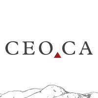 CEO.CA 🔺 logo - Similar company to Italkbb Canada