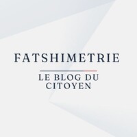 Fatshimetrie logo - Similar company to Fonaredd Rdc