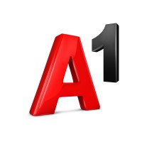 A1 International Business logo - Similar company to Solutions For Environment Services Ltd.