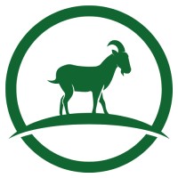 Wuohi Digital logo - Similar company to Experience Lab By Mediacity