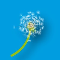 Fecondia logo - Similar company to Centre Hayet De Ferilité