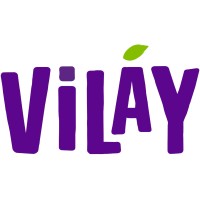 VILAY logo - Similar company to Tika Foods
