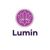 Lumin Pakistan logo - Similar company to Digikeds