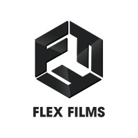 Flex Films Production House logo - Similar company to House Of Tengri