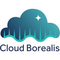 Cloud Borealis logo - Similar company to Premium Security Oy