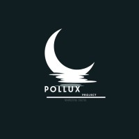 Pollux Marketing logo - Similar company to Lemon Studio