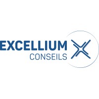 Excellium Conseils logo - Similar company to Saison2