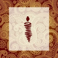 Fashion Autograph logo - Similar company to Ciceroni